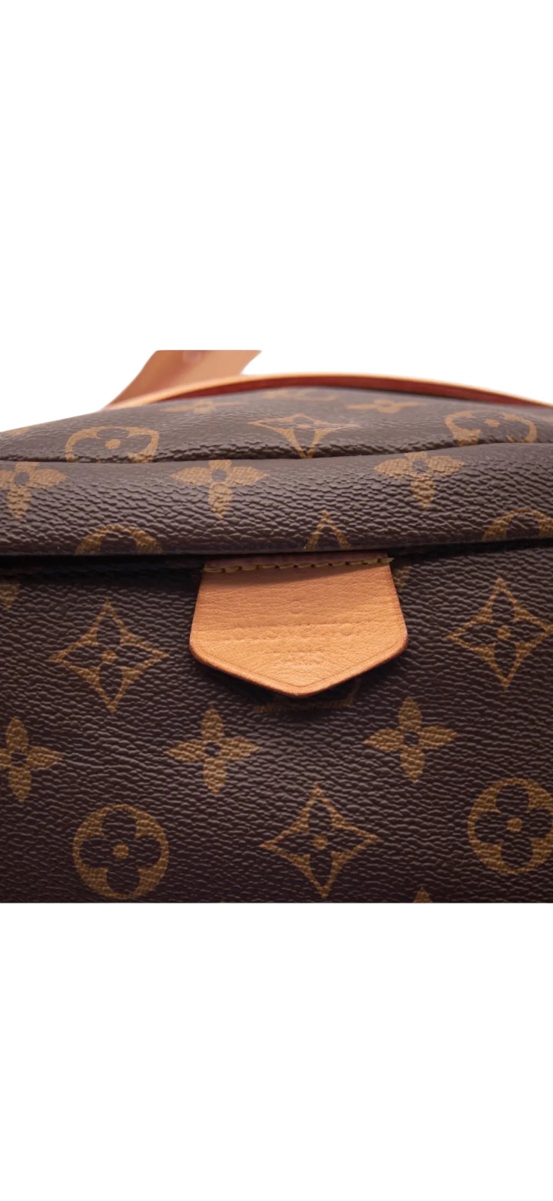 Louis Vuitton 2019 Bumbag MM Monogram Belt Bag