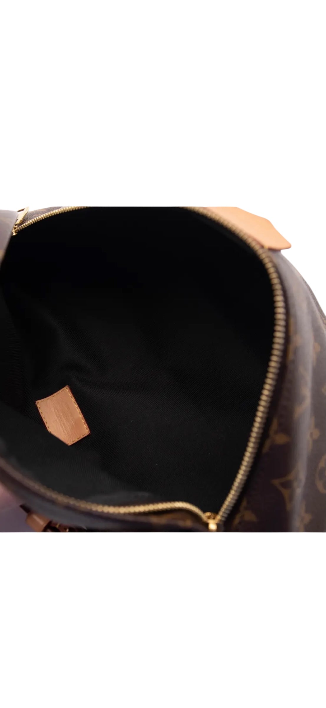 Louis Vuitton 2019 Bumbag MM Monogram Belt Bag