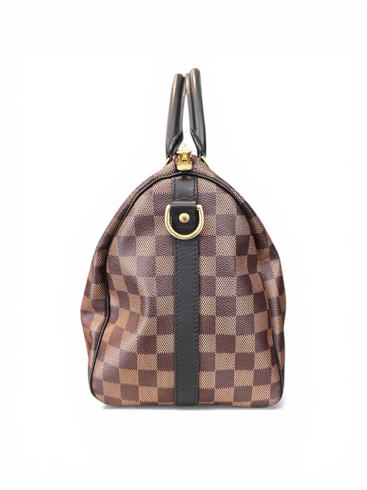 Louis Vuitton Speedy Karakoram – édition limitée