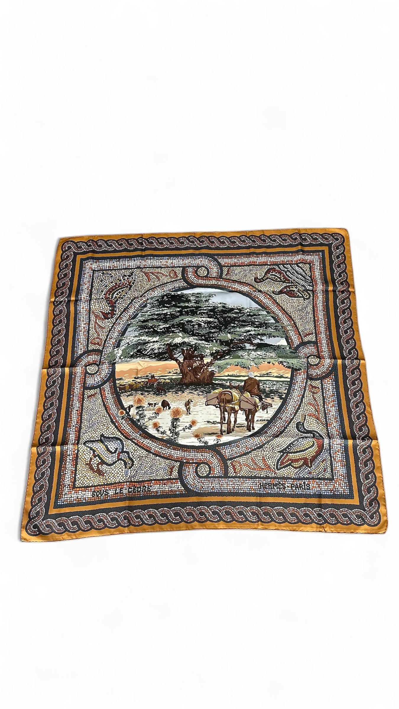 Carré Hermès 90 sous le cèdre